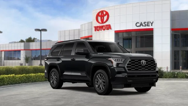 New 2026 Black Toyota Platinum image 20