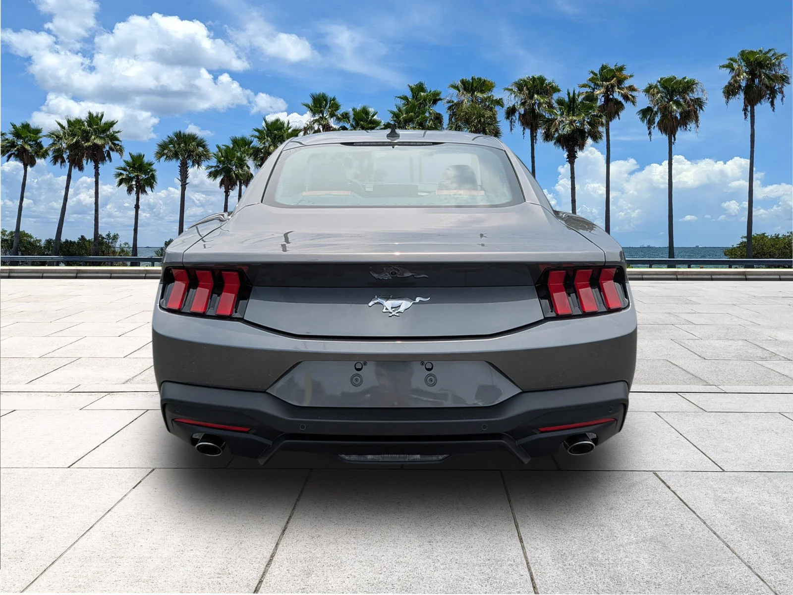 New 2026 Carbonized Gray Metallic Ford EcoBoost® Premium Fastback image 6