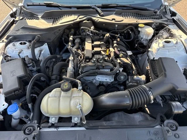 Used 2023 White Ford EcoBoost image 12