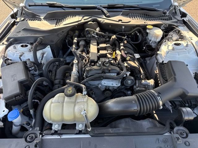Used 2023 White Ford EcoBoost image 12