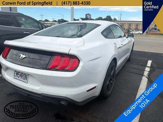 Used 2023 Oxford White Ford EcoBoost image 5