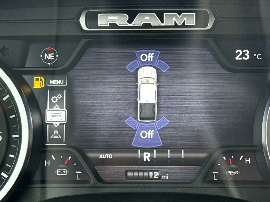 New 2026 Silver Zynith Exterior Paint RAM Laramie image 30