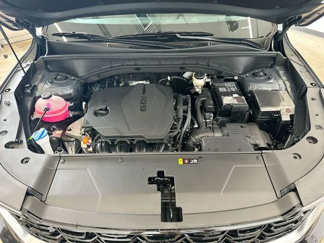 New 2026 Panthera Metal Kia S image 20
