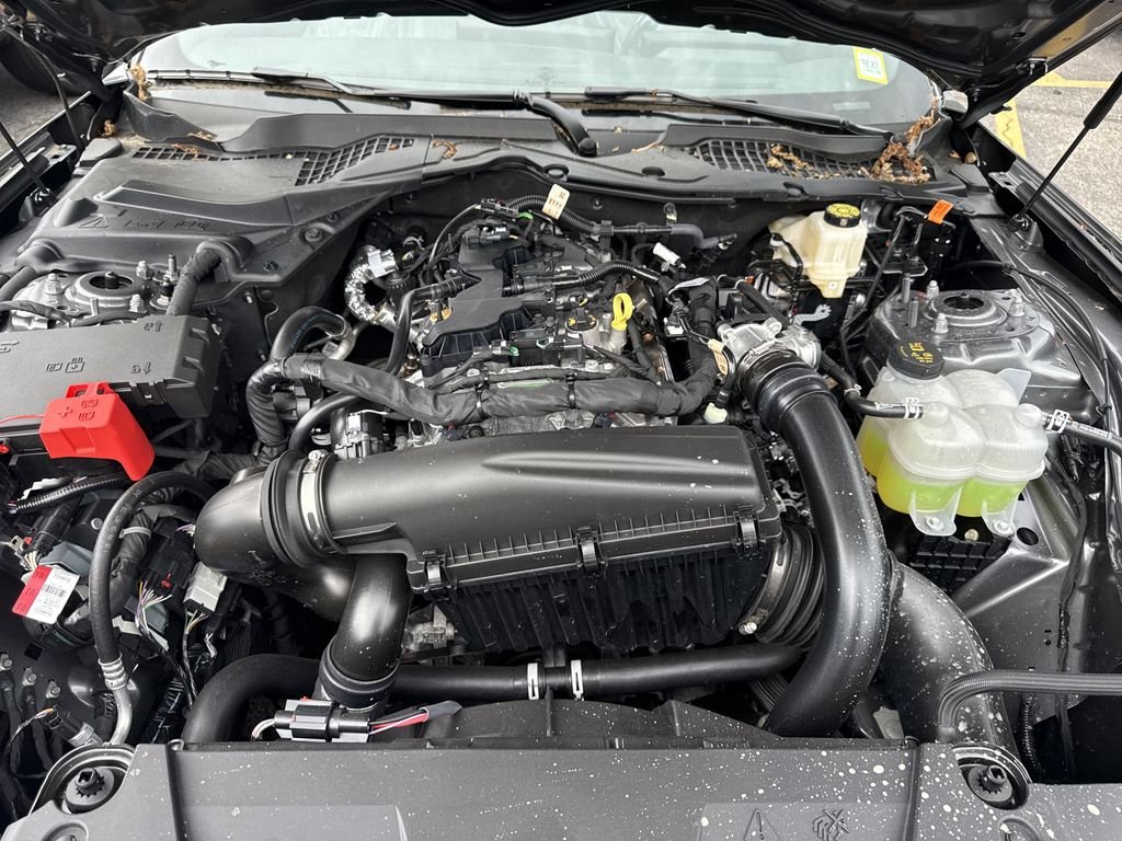 New 2026 Carbonized Gray Metallic Ford EcoBoost® Fastback image 21