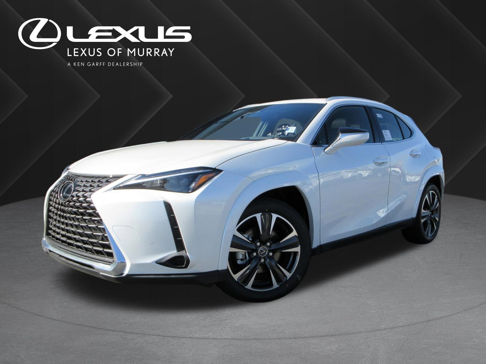 2025 Lexus UX 300h 300h Premium AWD's photo
