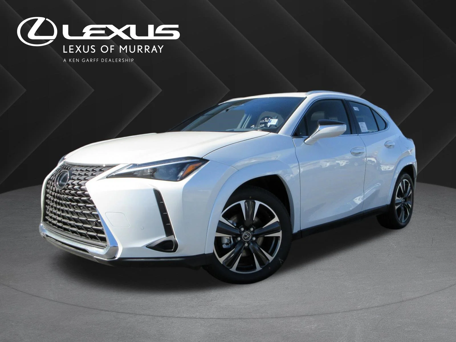 2025 Lexus UX 300h 300h Premium AWD's photo