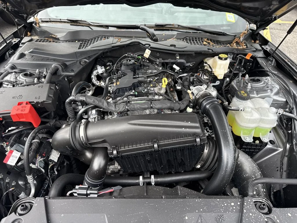 New 2026 Gray Ford EcoBoost image 21