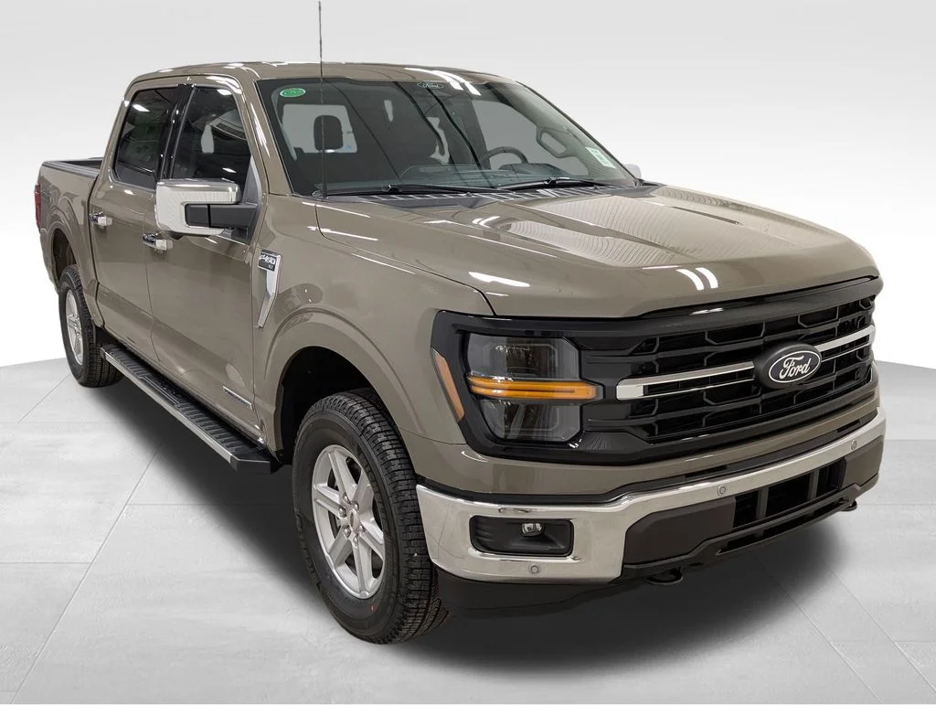 New 2025 Marsh Gray Ford XLT image 5