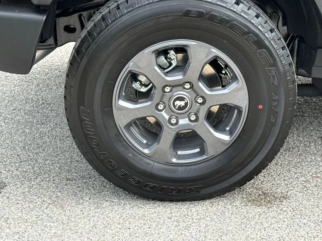 New 2026 Marsh Gray Ford Big Bend® image 10