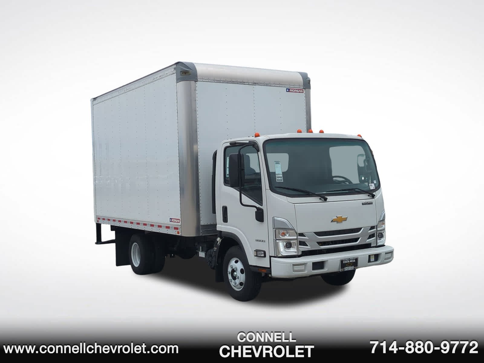 New 2024 Arc White Chevrolet 2WD Reg Cab 132.5" image 3