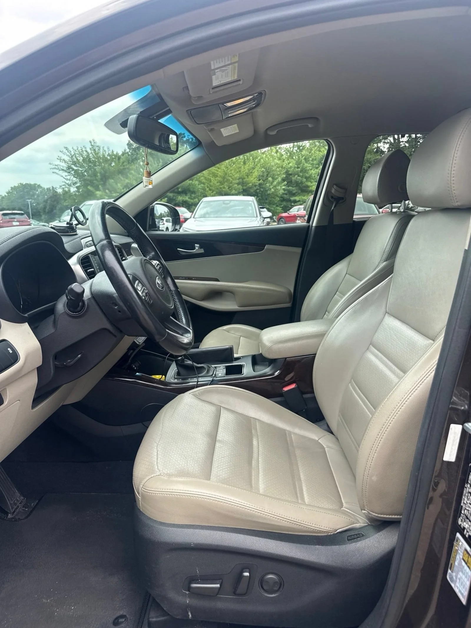 Used 2018 Polished Walnut Kia EX V6 image 9