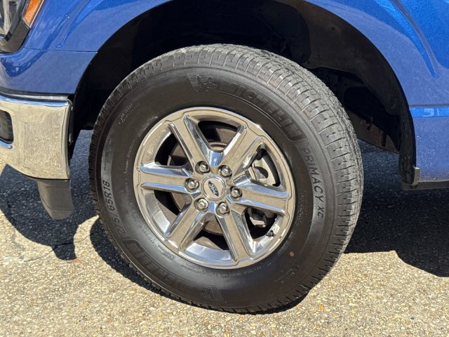 Used 2024 Blue Ford XLT image 11