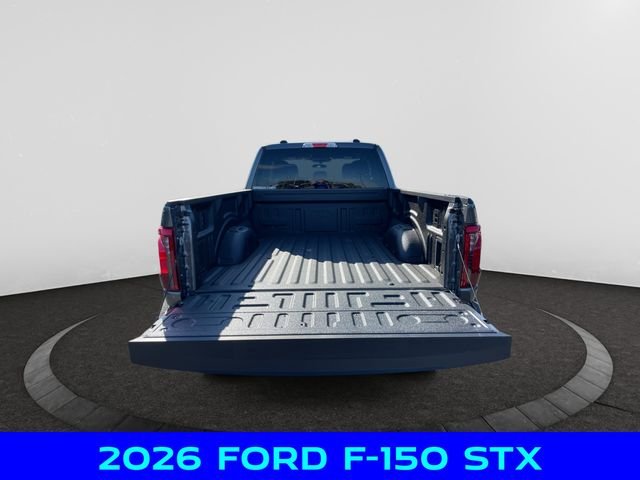 New 2026 Gray Ford STX image 5