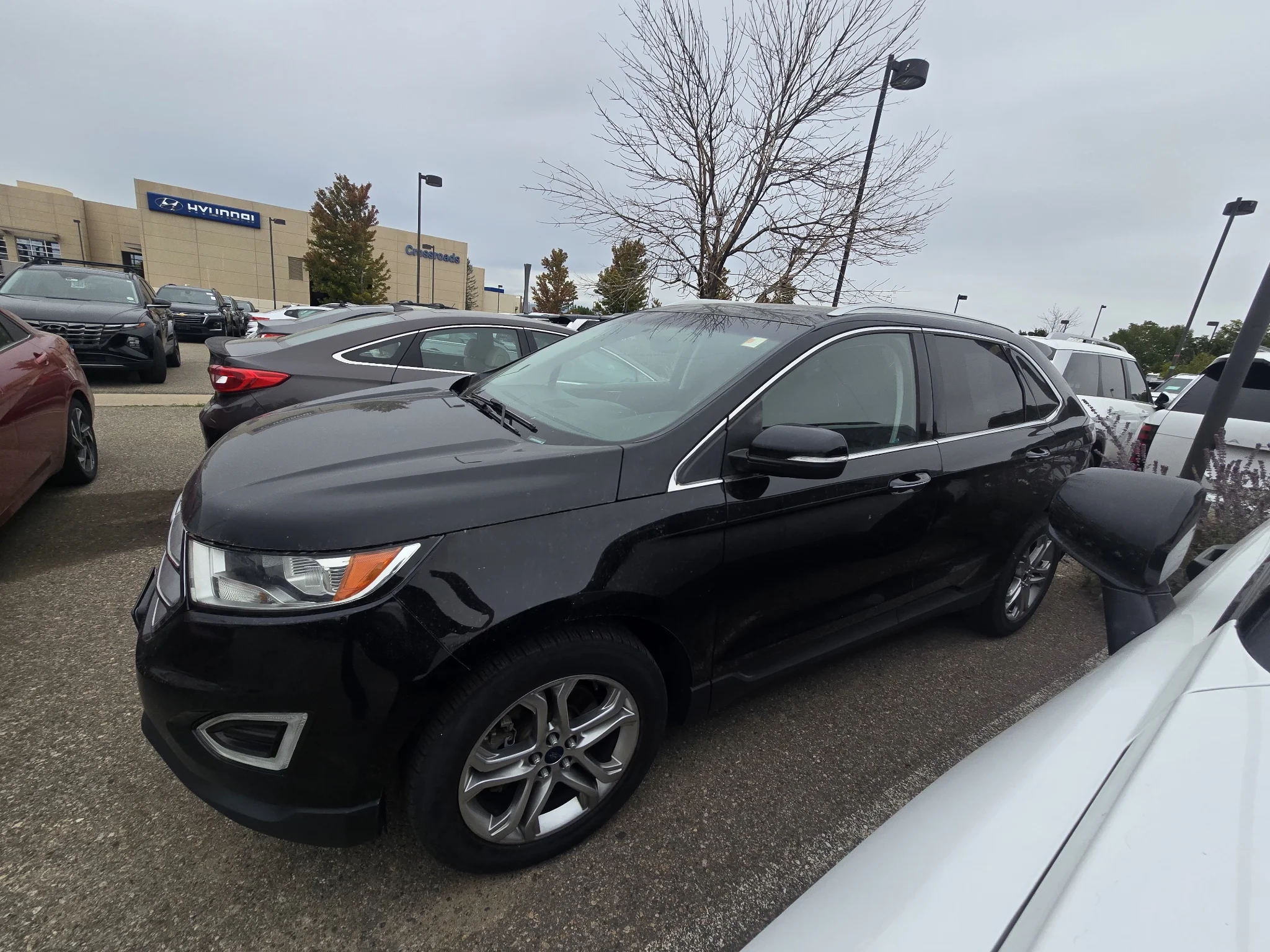 Used 2016 Shadow Black Ford Titanium image 14