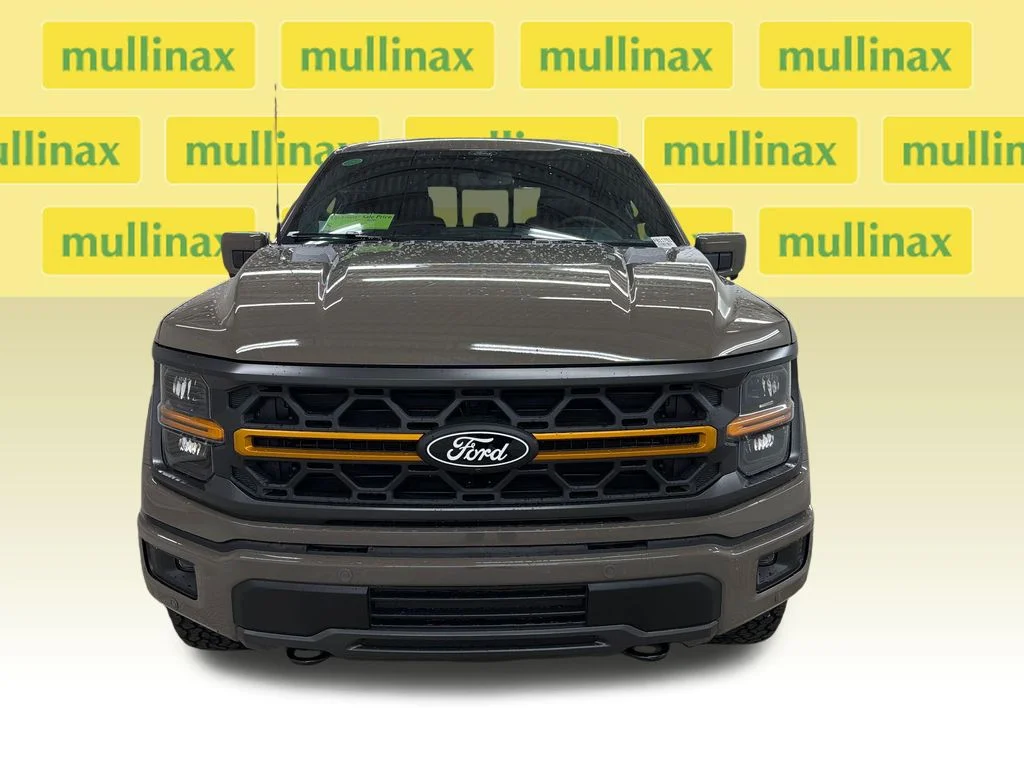 New 2026 Gray Ford Tremor image 14