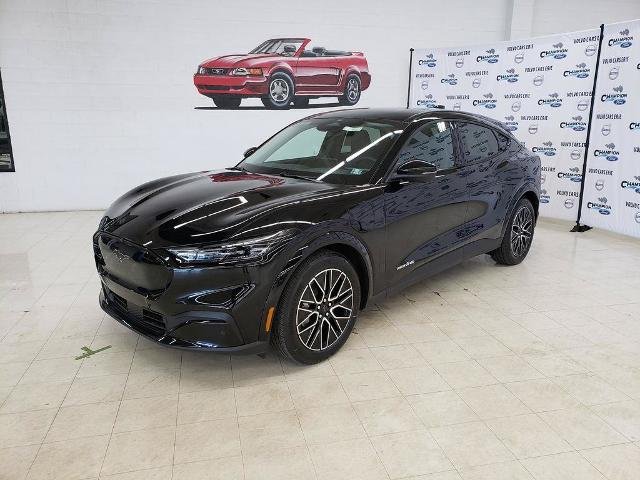 New 2026 Shadow Black Ford Premium image 3