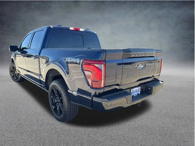 Used 2024 Blue Ford Platinum image 8