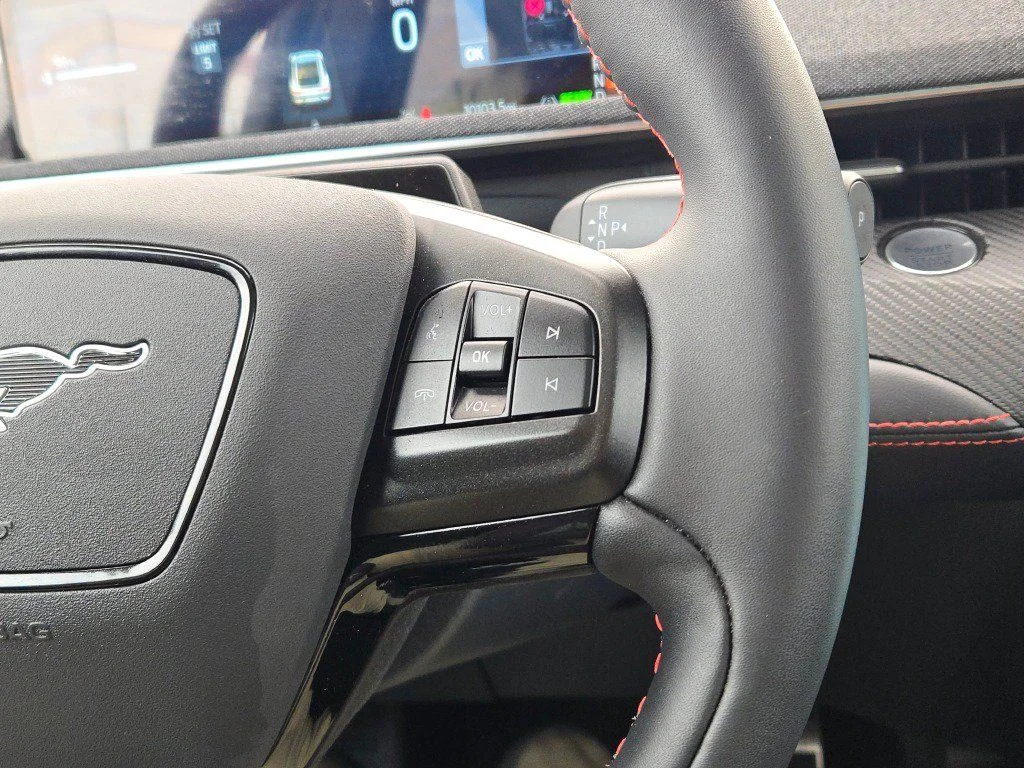 Used 2025 Shadow Black Ford Premium image 32