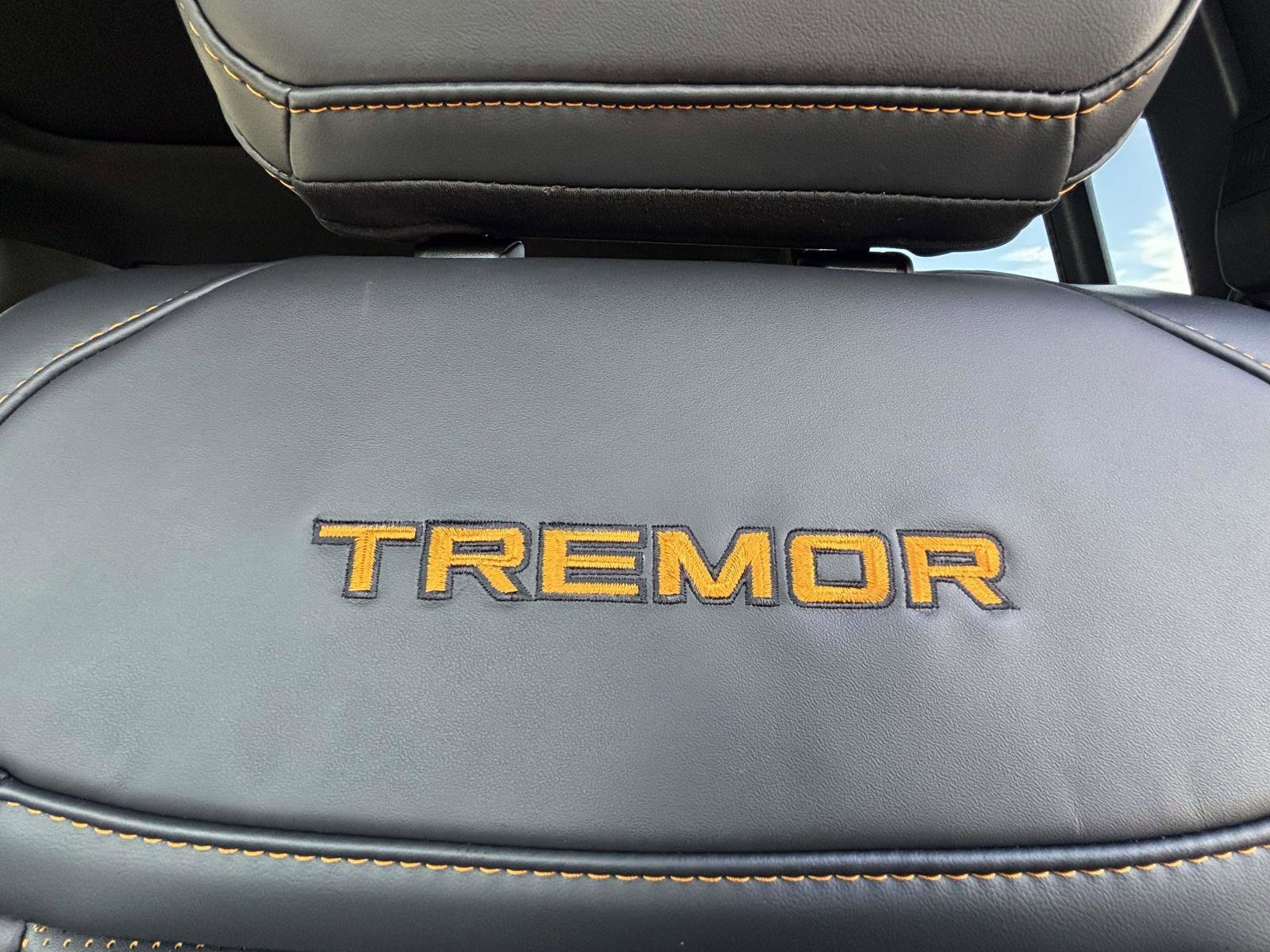 New 2026 Agate Black Metallic Ford Tremor® image 41