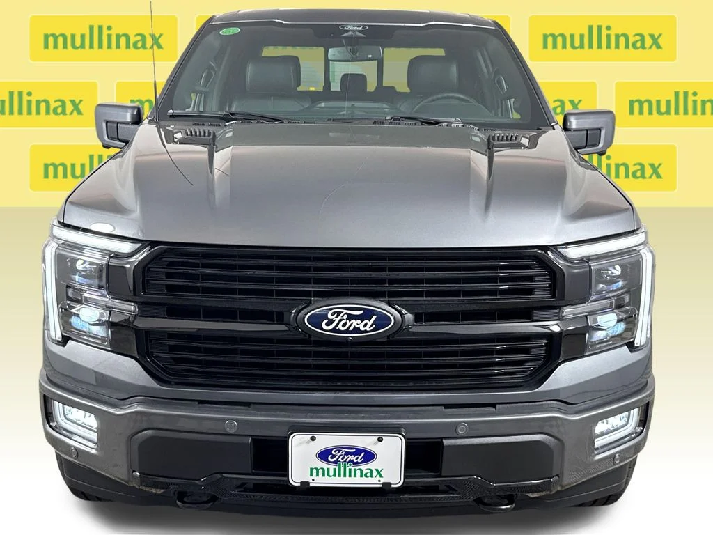 New 2026 Gray Ford Platinum image 17