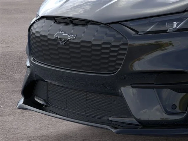 New 2026 Shadow Black Ford Premium image 39