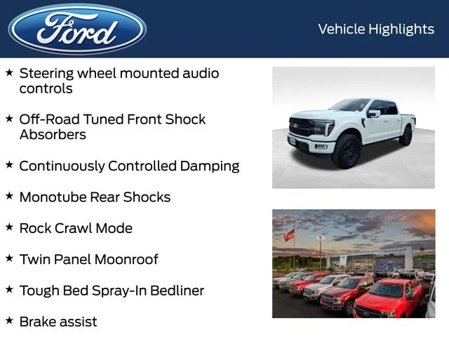 Used 2024 White Ford Platinum image 9