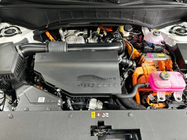 New 2027 White Hyundai Blue SEL Premium image 24
