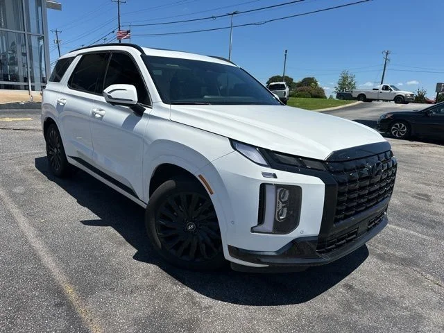 2024 Hyundai Palisade Calligraphy Night Edition AWD's photo