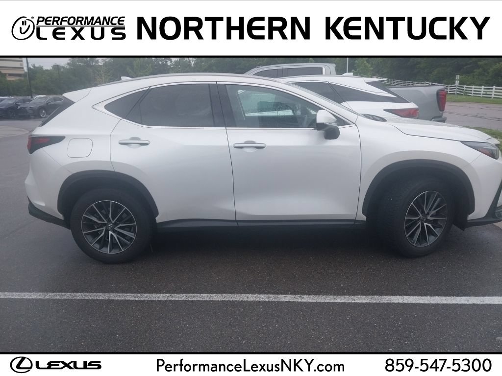 2024 Lexus NX 350 350 AWD's photo