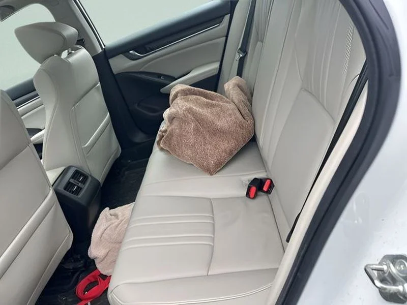 Used 2019  Honda EX-L image 3