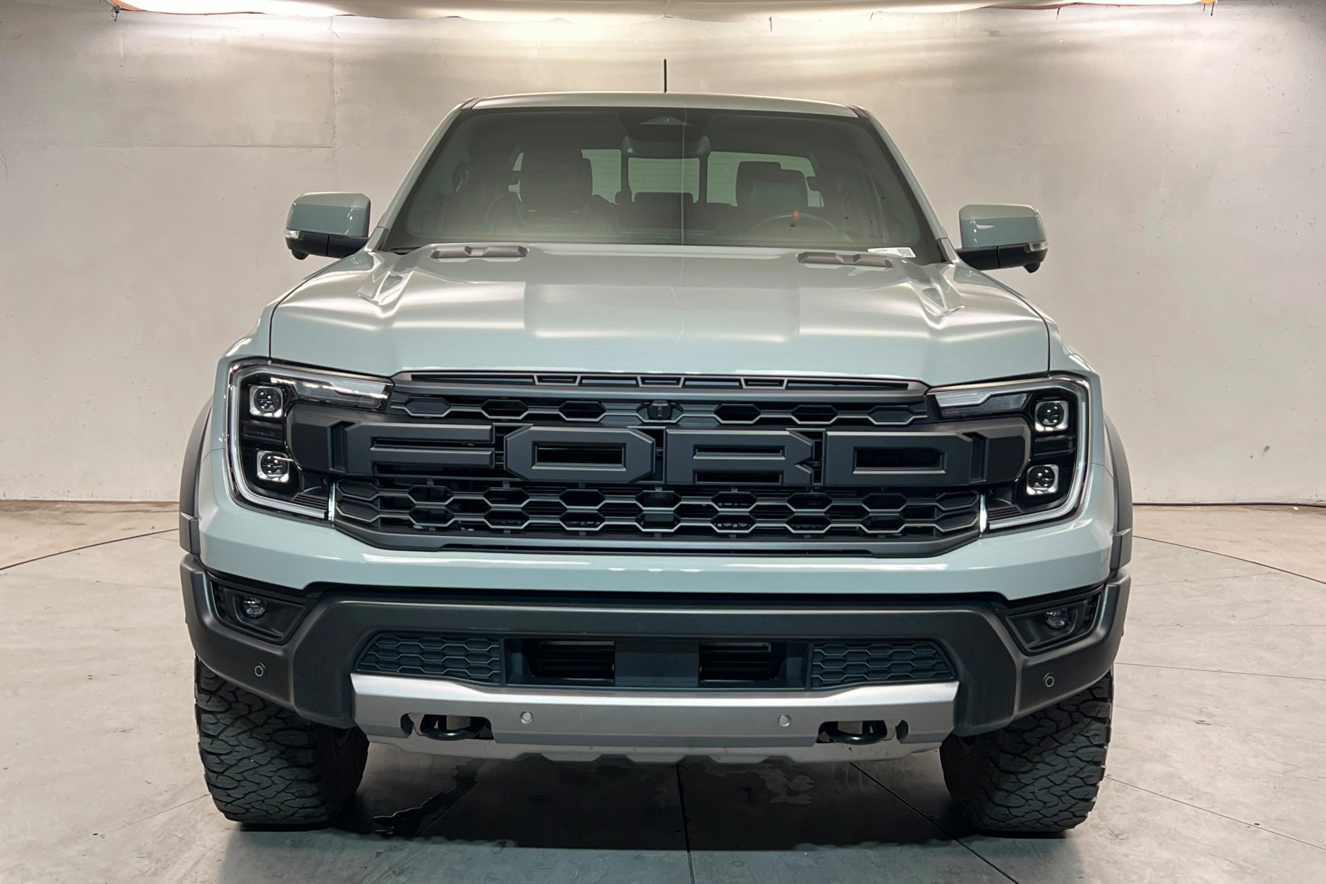 Used 2024 CACTUS GRAY Ford Raptor image 9