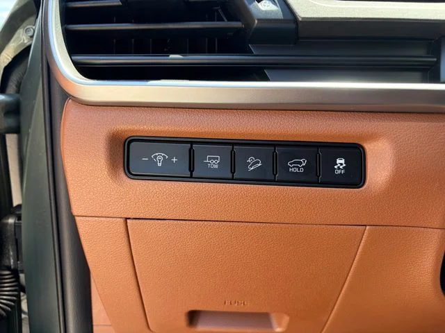 2025 Kia Telluride EX X-Line - Photo 22