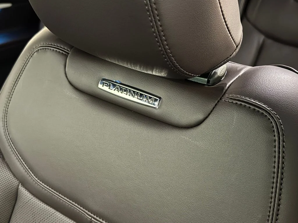New 2026 Gray Ford Platinum image 28