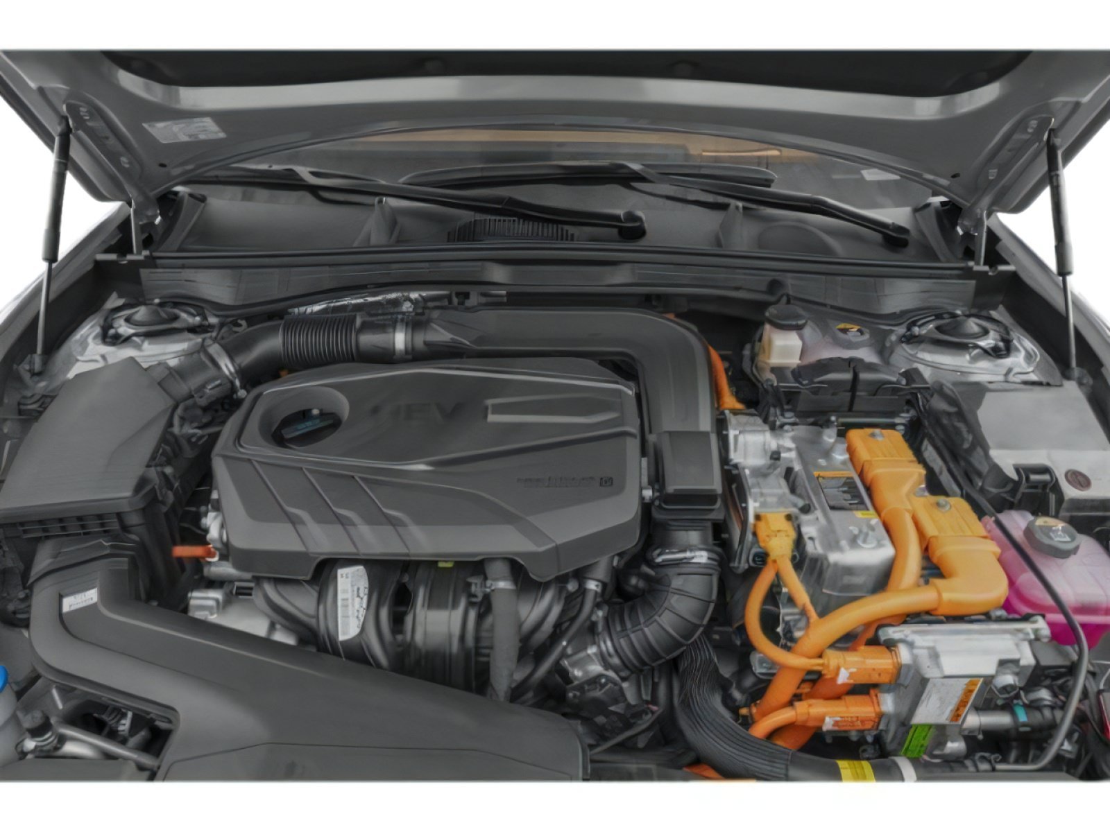 New 2026 Serenity White Hyundai Limited image 12