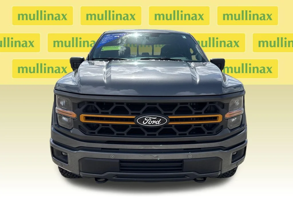 2025 Ford F-150 Tremor - Photo 14