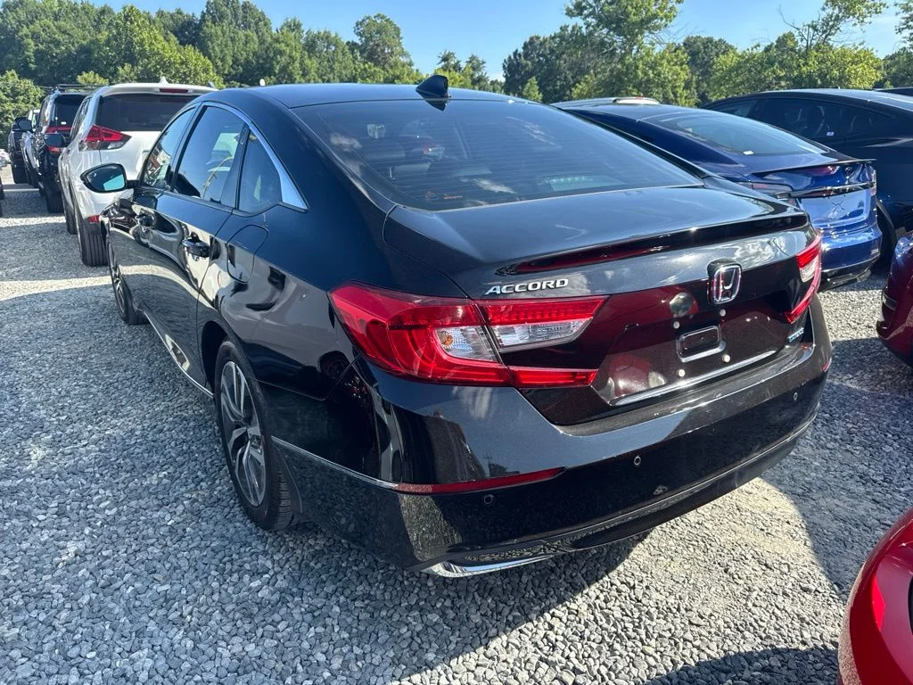 Used 2022  Honda EX-L image 5