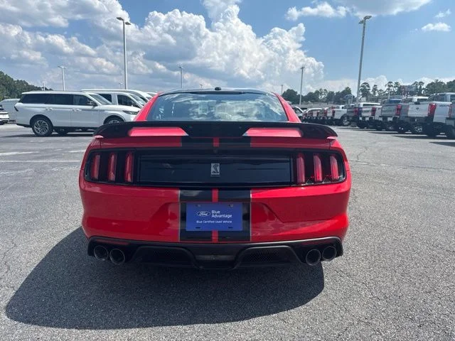 Certified Used 2019 Race Red Ford Shelby GT350 image 7