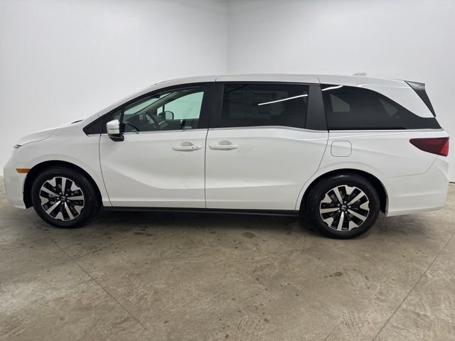 New 2026 Platinum White Pearl Honda EX-L image 8