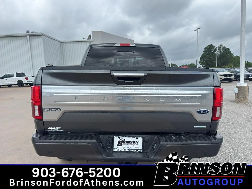 Used 2020 Magnetic Metallic Ford Platinum image 6