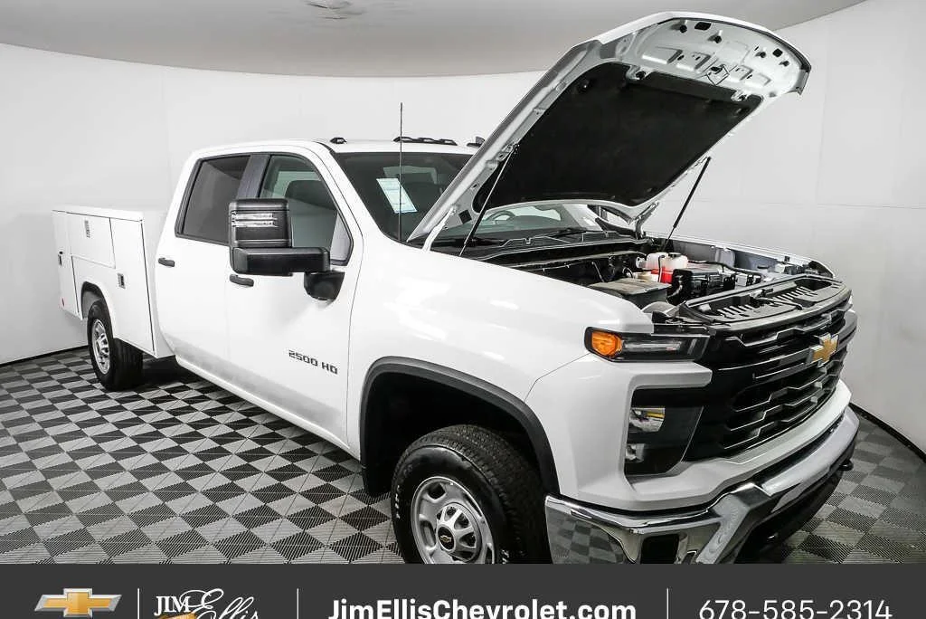 New 2025 Summit White Chevrolet WT image 27
