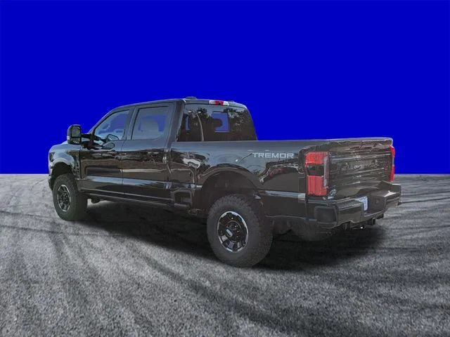 New 2026 Black Ford Platinum image 6