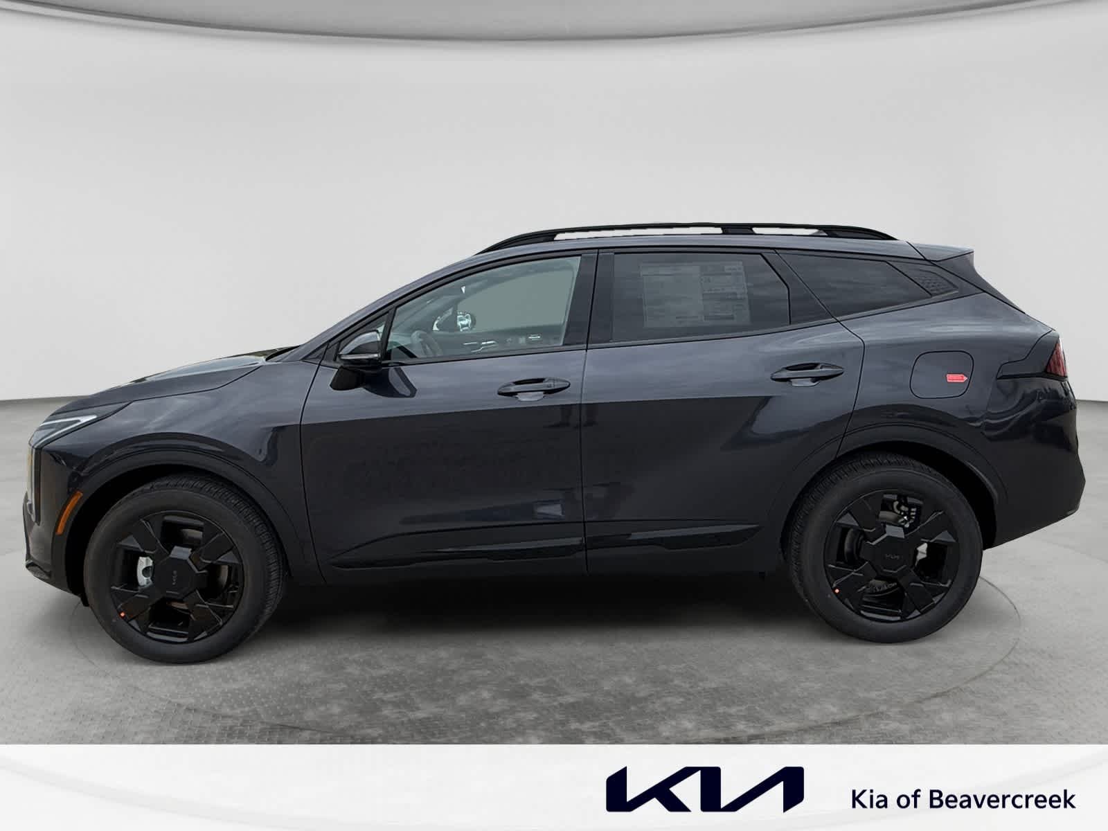 New 2026 Panthera Metal Gray Kia X-Line image 8