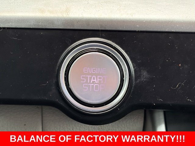 Used 2023 Panthera Metal Kia LX image 25