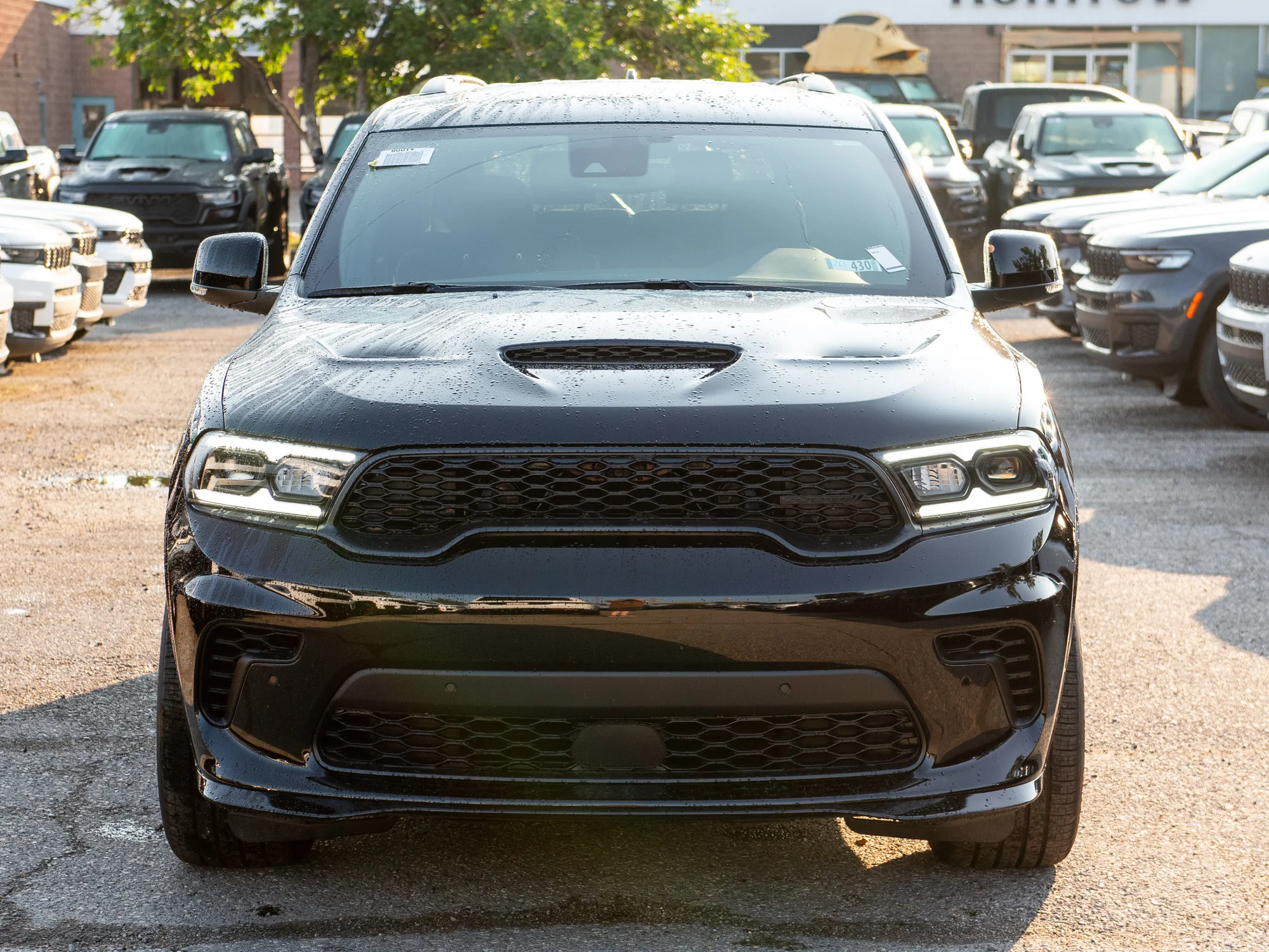 New 2026 Black Dodge GT Plus* HEMI V8 AWD* image 8