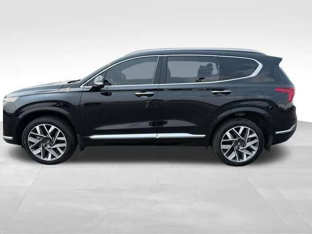 Used 2023 Black Hyundai Calligraphy image 2