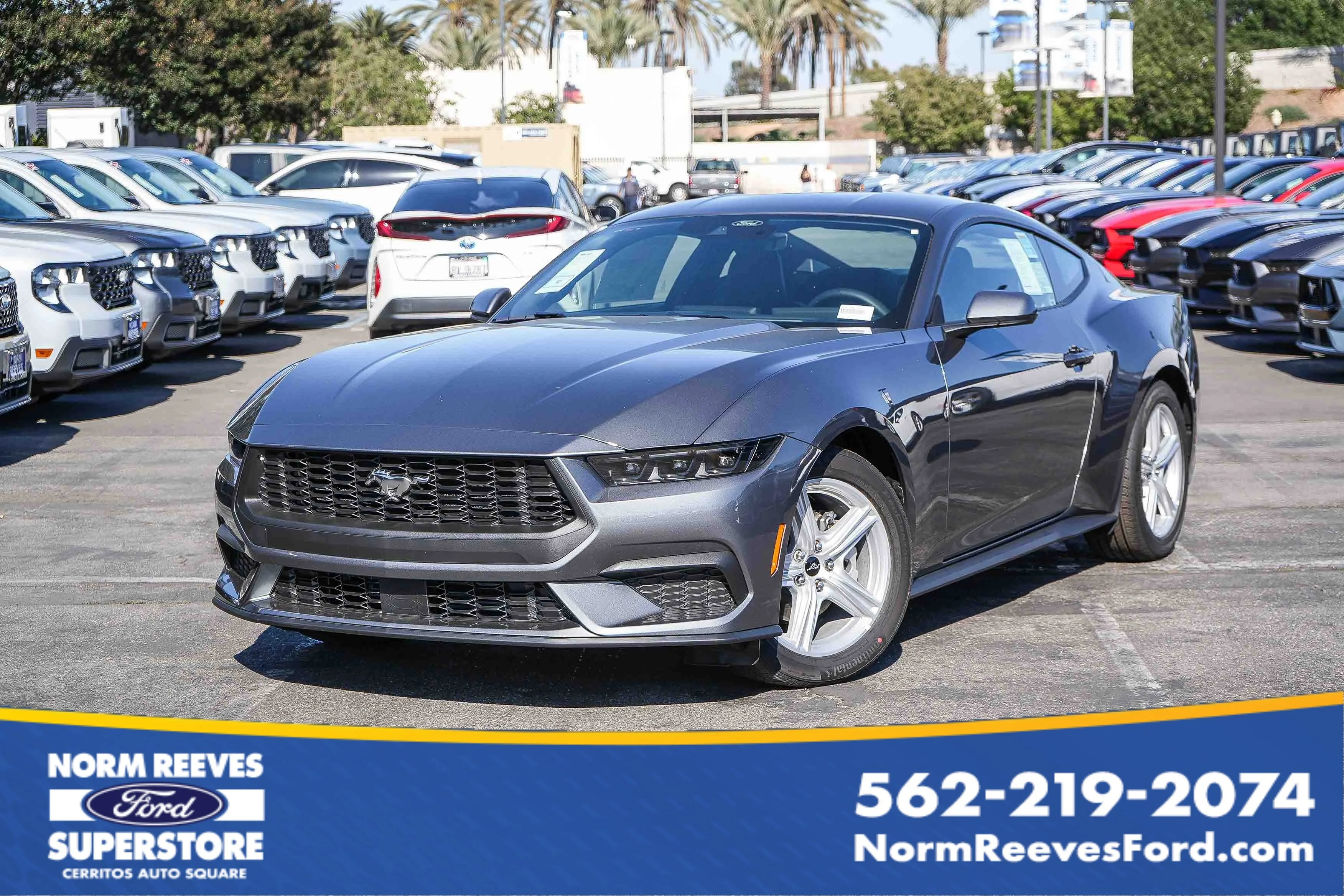 2026 Ford Mustang EcoBoost Fastback's photo