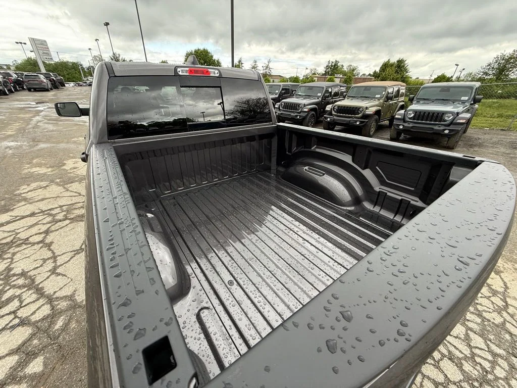 New 2026 Granite Crystal Metallic Clear-Coat Exterior Paint RAM Express image 8