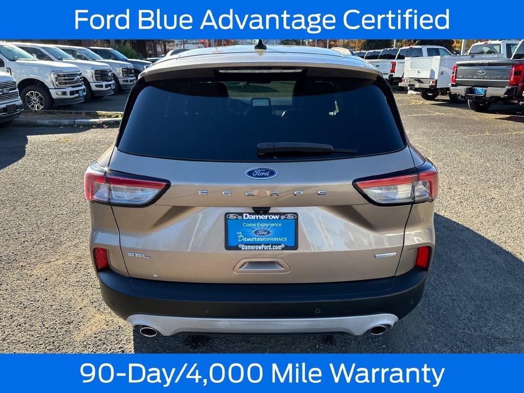 Used 2020 Gold Ford SEL image 6