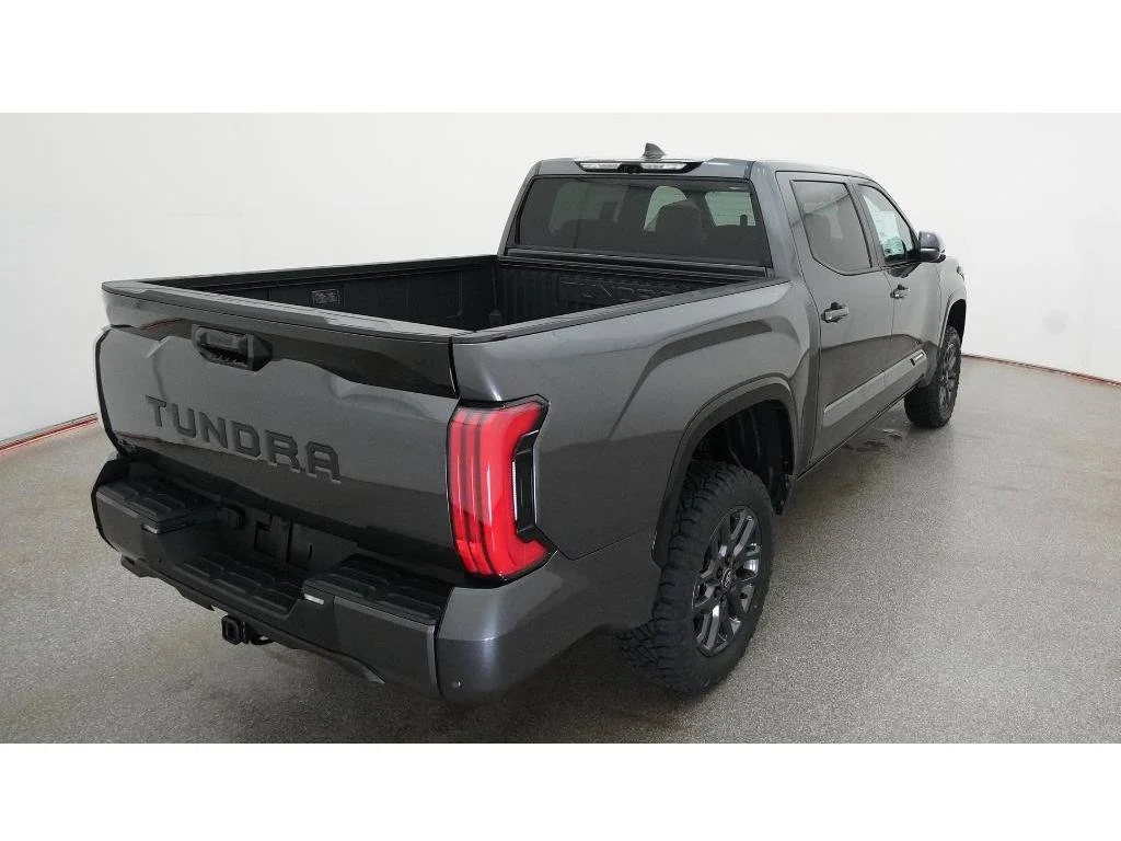 New 2026 Magnetic Gray Metallic Toyota Platinum image 8