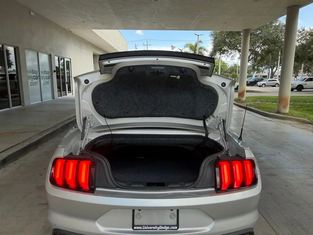 Used 2018 Silver Ford EcoBoost Premium image 26